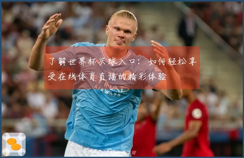 了解世界杯买球入口：如何轻松享受在线体育直播的精彩体验