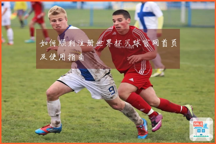 如何顺利注册世界杯买球官网首页及使用指南
