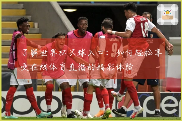 了解世界杯买球入口：如何轻松享受在线体育直播的精彩体验